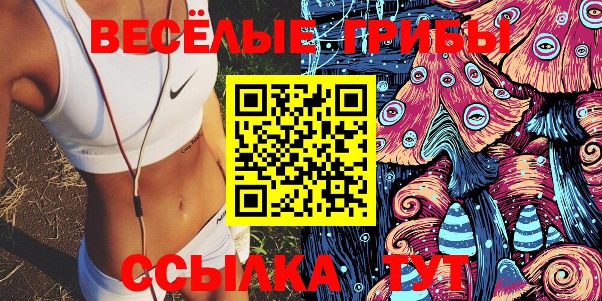 Псилоцибиновые грибы прущие грибы  Вход с VPN  Салехард 
